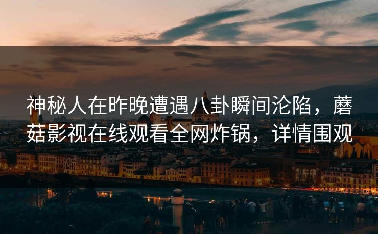 神秘人在昨晚遭遇八卦瞬间沦陷，蘑菇影视在线观看全网炸锅，详情围观